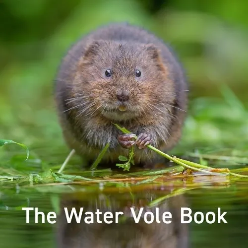 Hugh Warwick Nature Book Series: The Water Vole Book