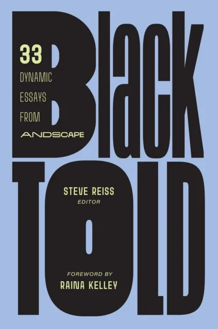Hyperion Blacktold : 33 Dynamic Essays From Andscape