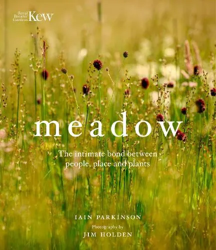 Iain Parkinson Meadow
