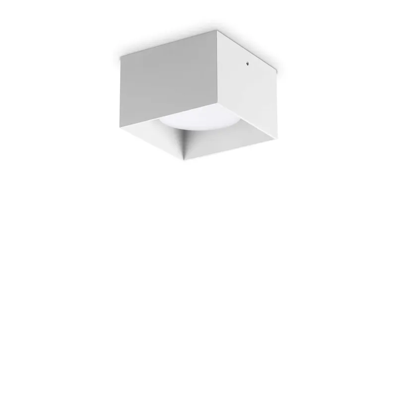 Netlighting Spike Square Surface Mounted Downlight White White
