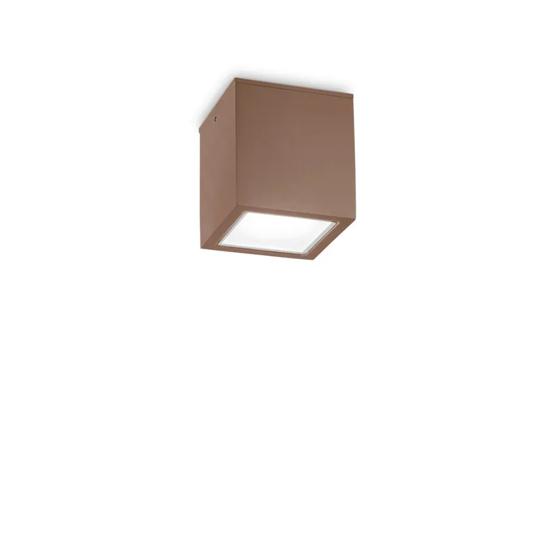 Netlighting Techo Outdoor Surface Mounted Downlight Coffee IP54 GU10 in Brown Brown