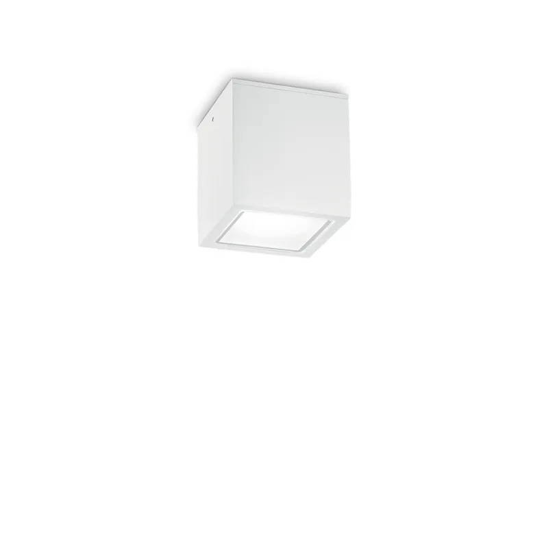 Netlighting Techo Outdoor Surface Mounted Downlight White IP54 GU10 White