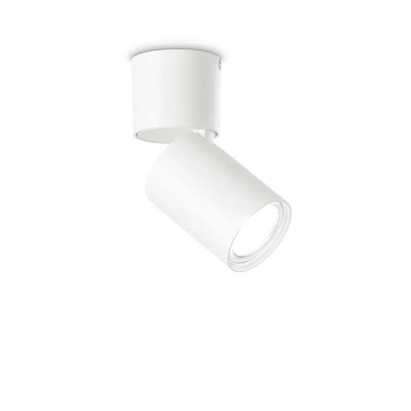 Netlighting Toby Adjustable Surface Mounted Downlight White White