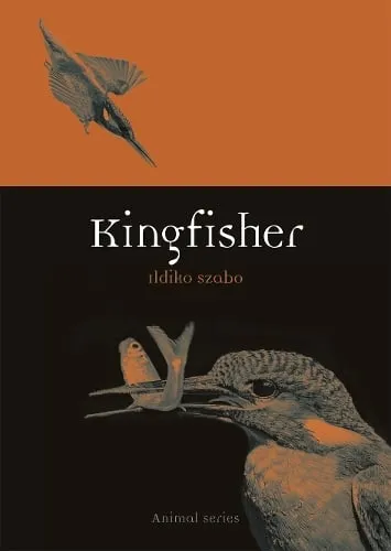 Ildiko Szabo Kingfisher