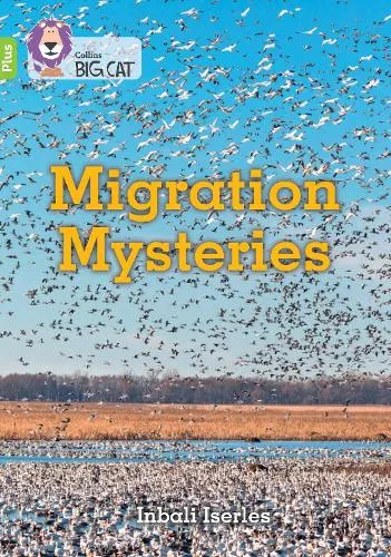 Inbali Iserles Migration Mysteries