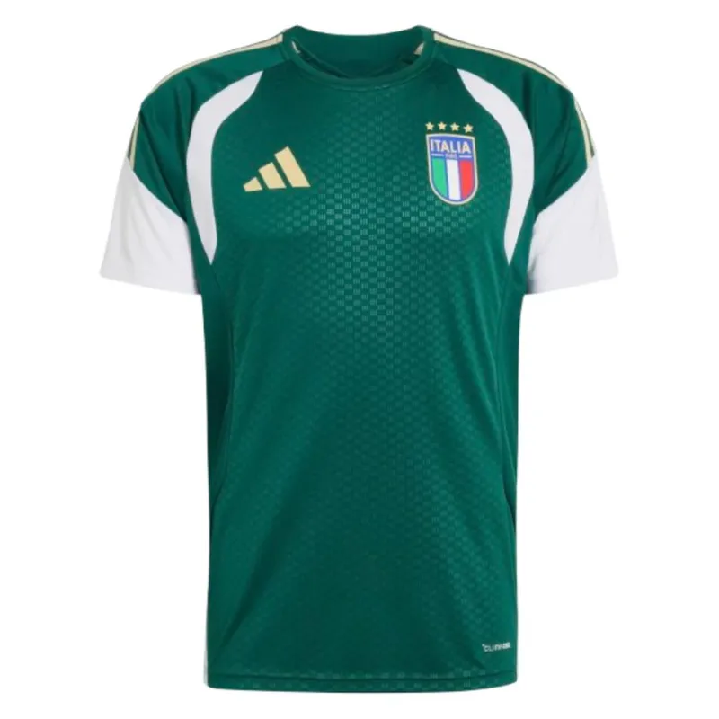 Italy Men's 2026 2027 Training Jersey in Green Size: Medium Green