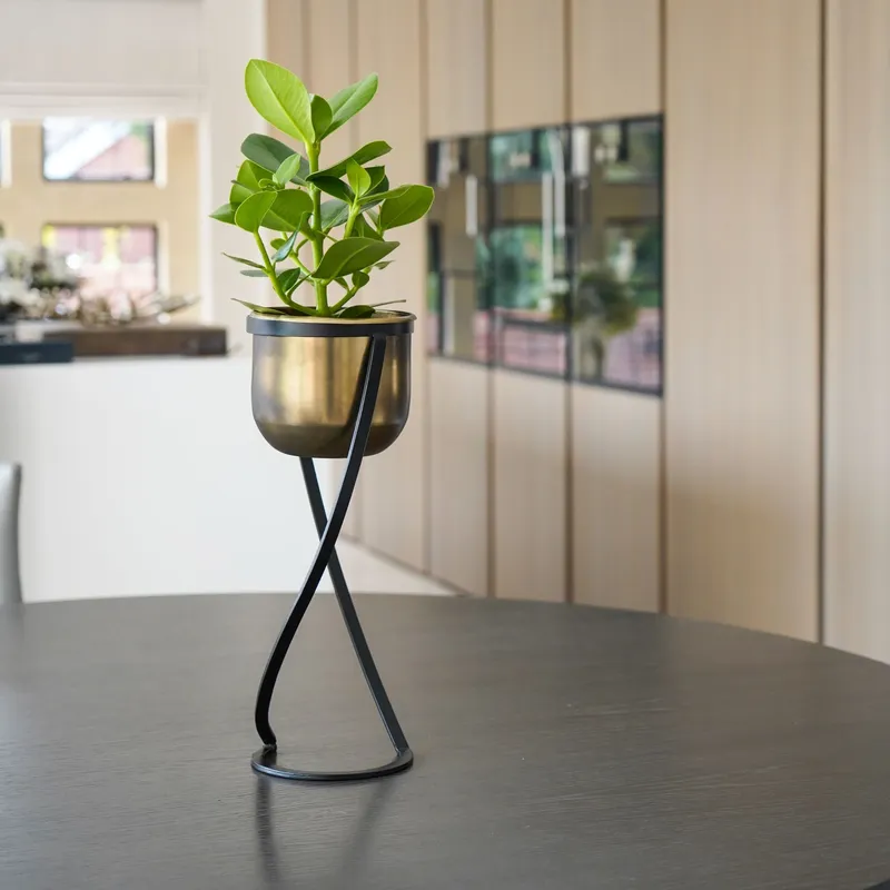 Ivyline Indoor Kensington Brass Metal Round Planter on Stand H42Cm W14Cm in Metallics Metallics