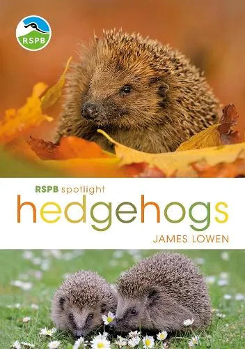 James Lowen Rspb Spotlight Hedgehogs