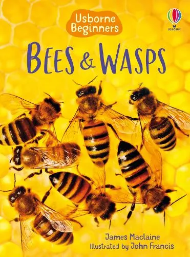 James Maclaine Bees and Wasps
