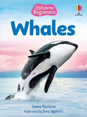 James Maclaine Beginners Whales