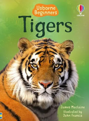 James Maclaine Tigers
