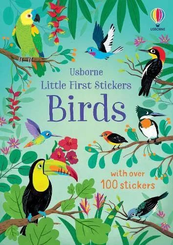 Jane Bingham Little First Stickers Birds