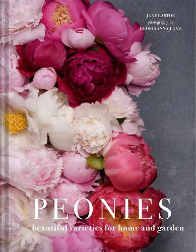 Jane Eastoe Peonies