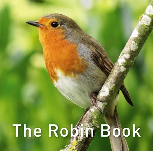Jane Russ Nature Book Series: The Robin Book