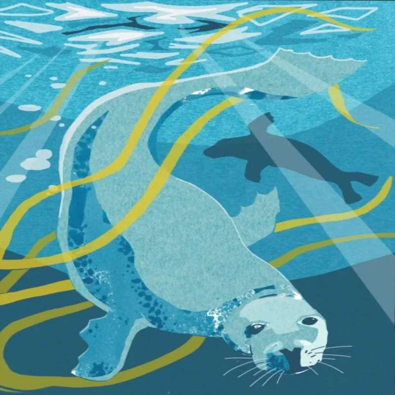 Birlinn General Nature Notebook: Seal