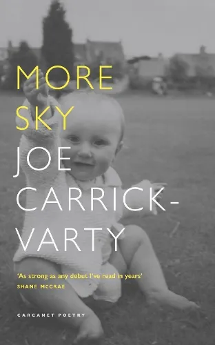 Joe Carrick-Varty More Sky