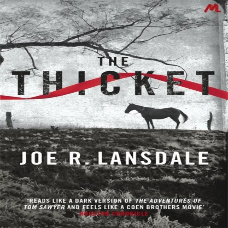 Hodder & Stoughton The Thicket