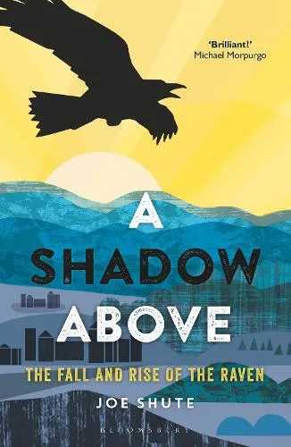 Joe Shute A Shadow Above