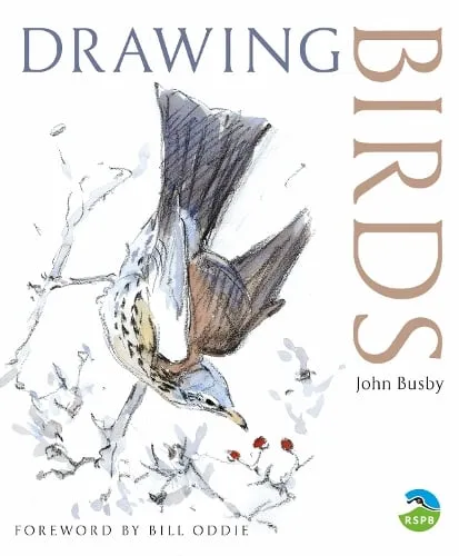 John Busby Drawing Birds