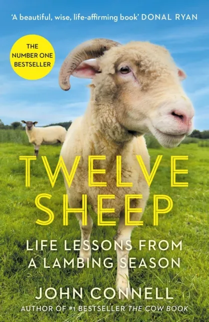 John Connell Twelve Sheep