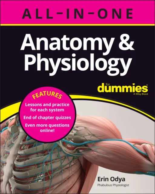 John Wiley & Sons Inc Anatomy & Physiology All-In-One For Dummies (+ Chapter Quizzes Online)