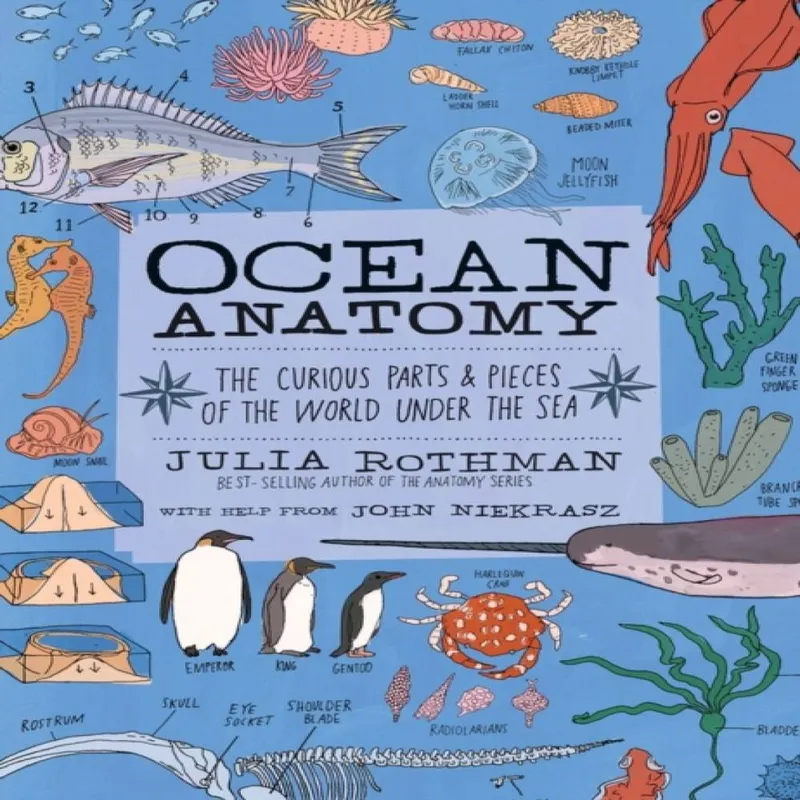 Julia Rothman Ocean Anatomy Paperback Book Multicolor