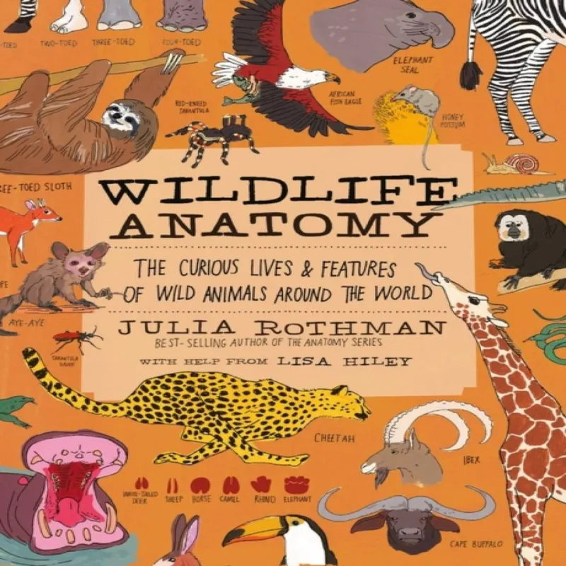 Julia Rothman Wildlife Anatomy Paperback Book Multicolor
