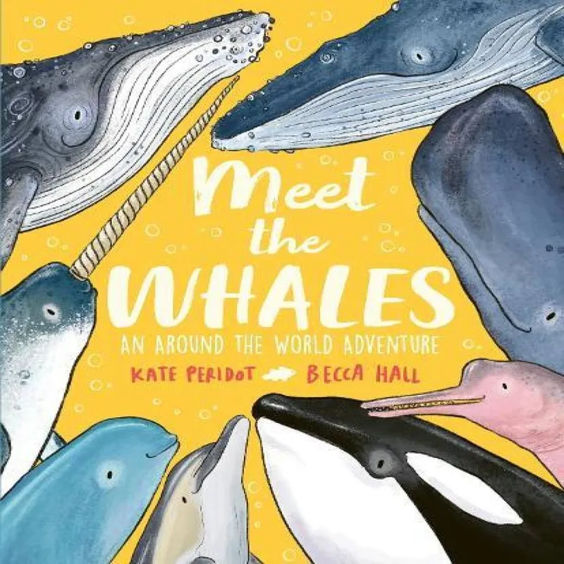 Hachette Children's Group Meet The Whales