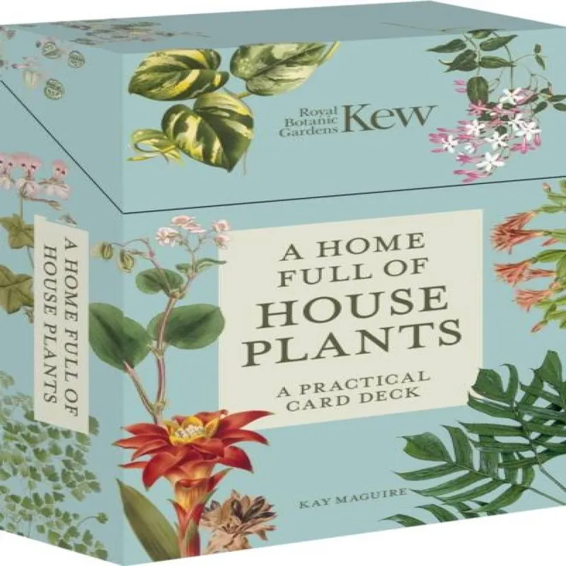 Kay Maguire A Home Full of House Plants