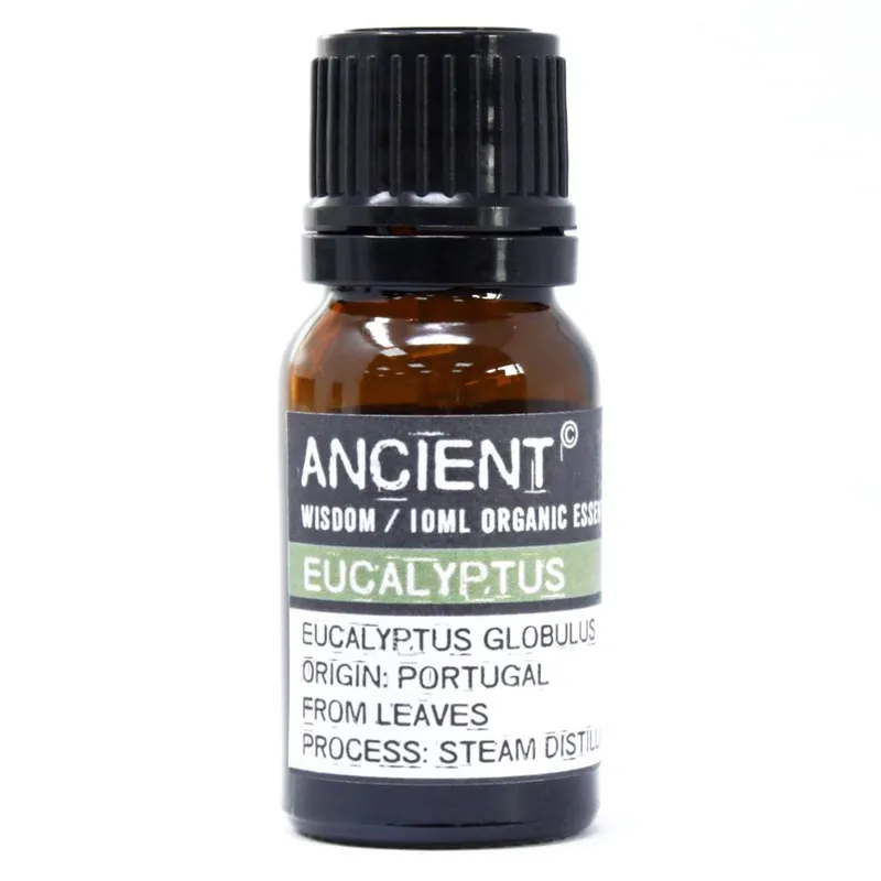 Kdmd Eucalyptus Essential Oil 10ml in Black - Black