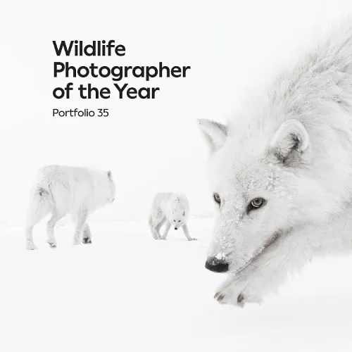 Keith Wilson Wildlife Photographer of the Year: Portfolio 35