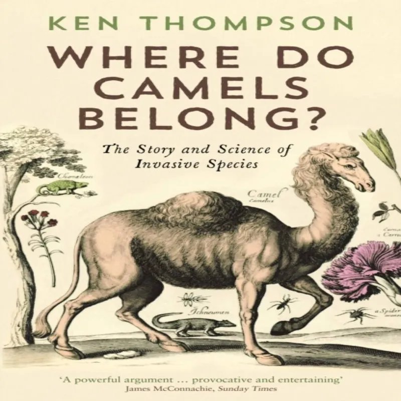 Ken Thompson Where Do Camels Belong?
