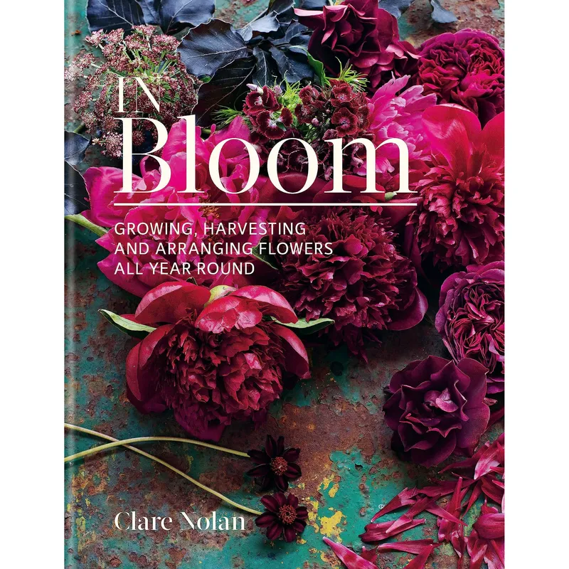 Clare Nolan In Bloom
