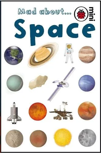 Ladybird Mad About Space