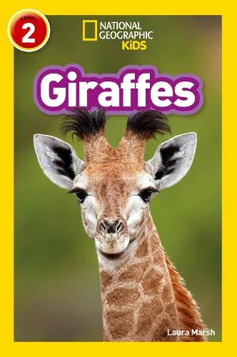 Laura Marsh Giraffes