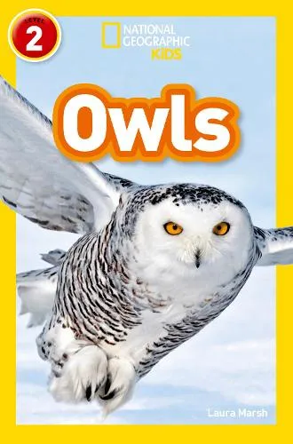 Laura Marsh Owls