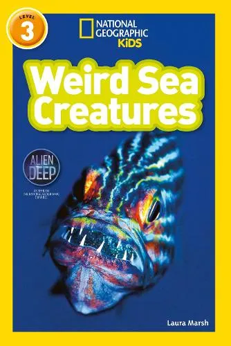 Laura Marsh Weird Sea Creatures