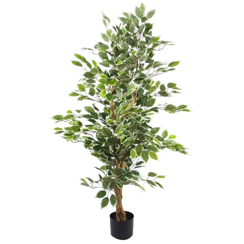 Leaf 130cm Variegated White/Green Bushy Ficus Tree in Green Green