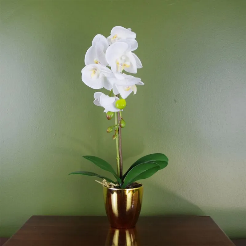 Leaf 46cm Artificial Orchid White and Gold