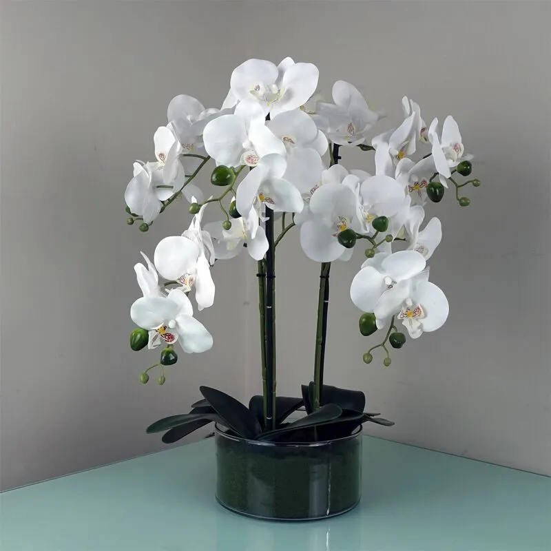 Leaf - 50cm Artificial Orchid with Glass Planter - White