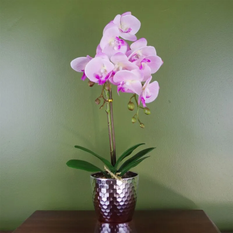 Leaf 50cm Phalaenopsis Orchid Artificial Light Pink Silver