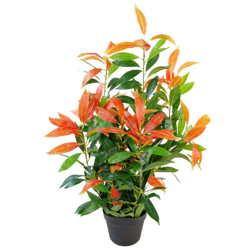 Leaf - 80cm Realistic Red Robin Artificial Ficus Tree / Plant