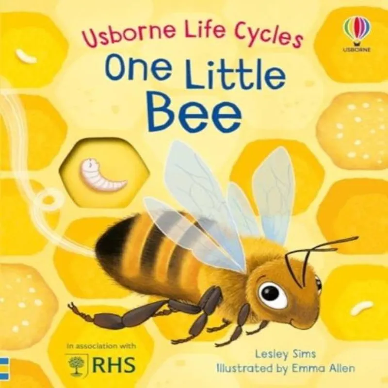 Lesley Sims One Little Bee Board book Book Multicolor