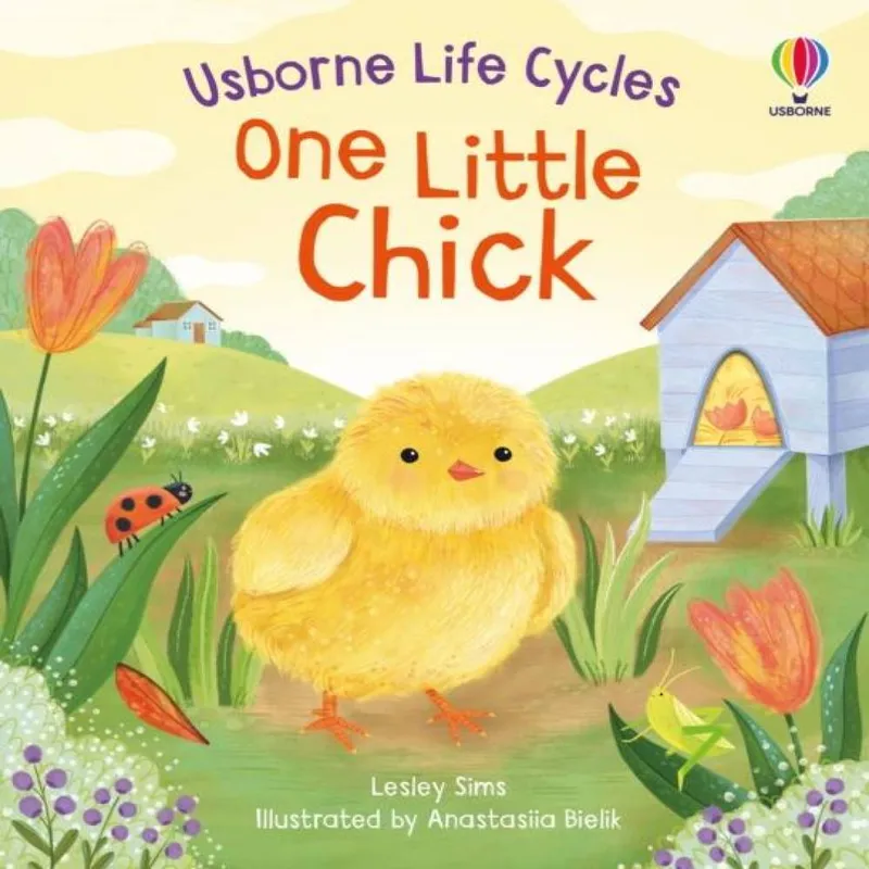 Lesley Sims One Little Chick