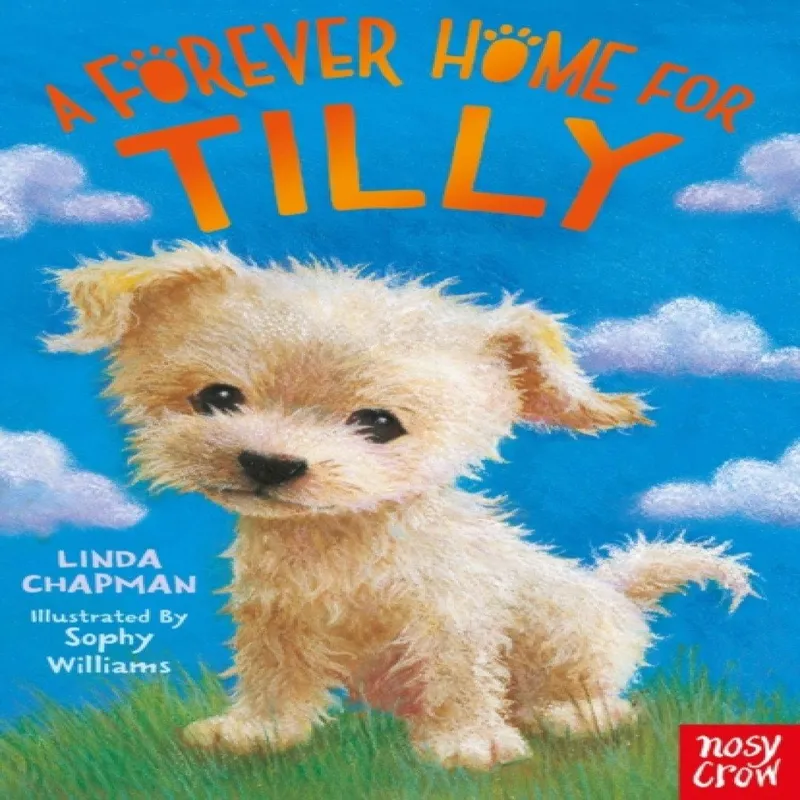 Linda Chapman A Forever Home for Tilly