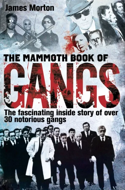 Little, Brown Book Group The Mammoth Book Of Gangs
