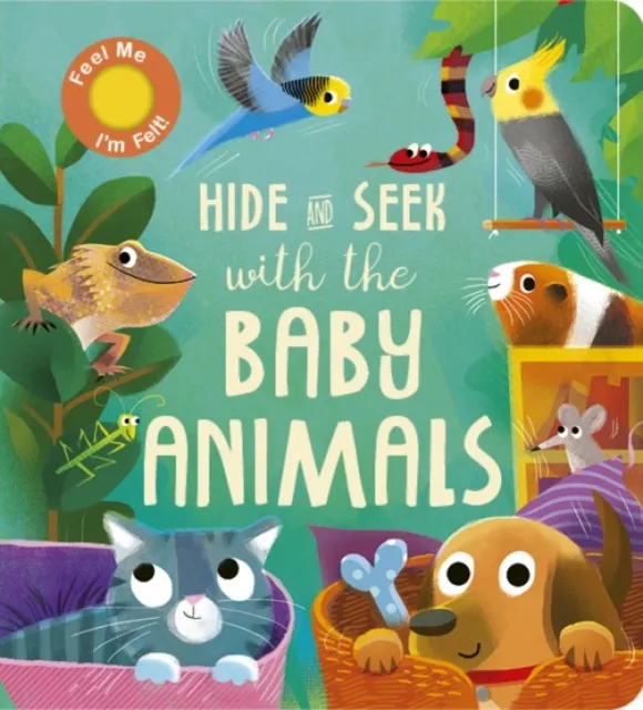 Little Tiger Press Group Hide And Seek With The Baby Animals