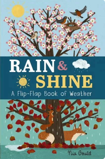 Molly Littleboy Rain & Shine: A Flip-Flap Book of Weather