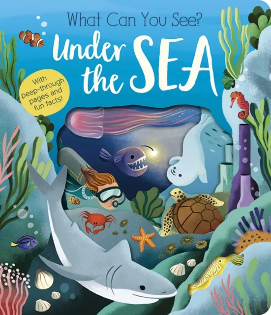Molly Littleboy What Can You See? Under the Sea Board book Book Multicolor