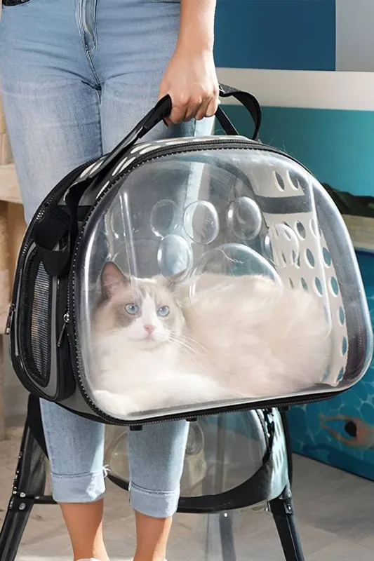 Living and Home Portable Transparent Pet Carrier in Grey Grey One Size female